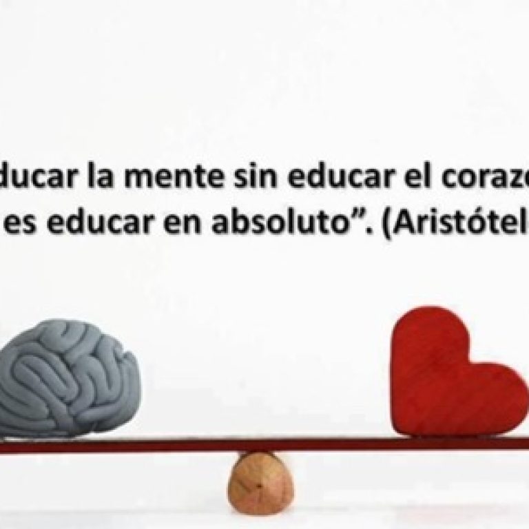 WhatsApp Image 2024-10-29 at 13.52.37